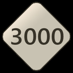 3000