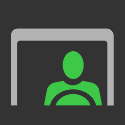 Professioneller Fahrer