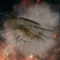 Ein ausgefallener Freund