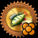 Der Fisch des Tages ist „Forelle à la crème“