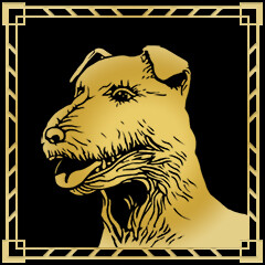 Der glücklichste Hund in Chicago