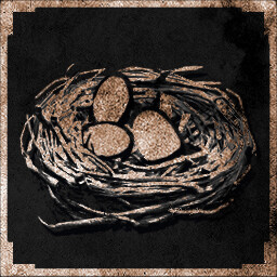 Störe die Vögel nicht